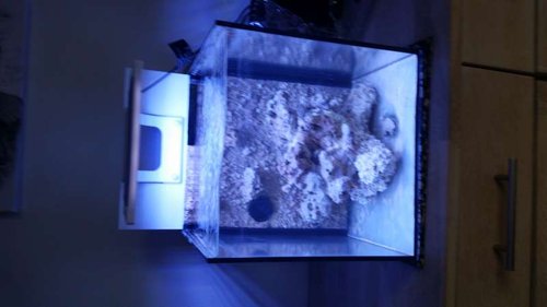 20140920_172136.jpg