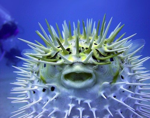 image.jpg (109.82 KiB) Vist 2287 gange Sådan ku jeg godt se ud mandag morgen