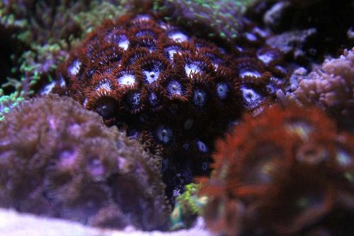 IMG_9257.JPG