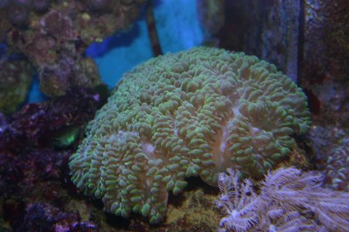 IMG_0047.JPG