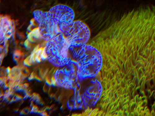 DSCF9720 small.jpg