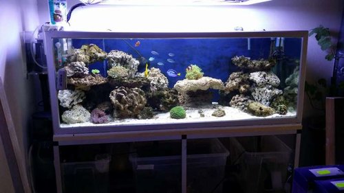 20141001_132919.jpg