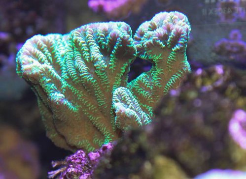 20141007-IMG_7983.jpg