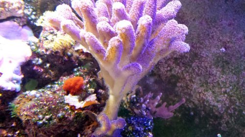 20141009_200857 (2).jpg