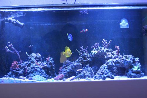 FTS.JPG