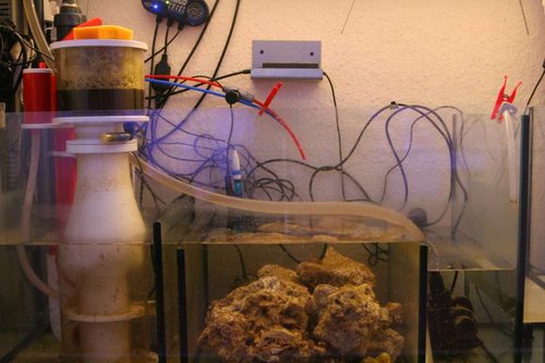 Sump.JPG