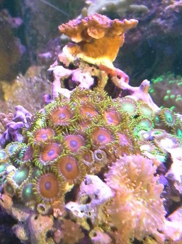 20141011_164529.jpg