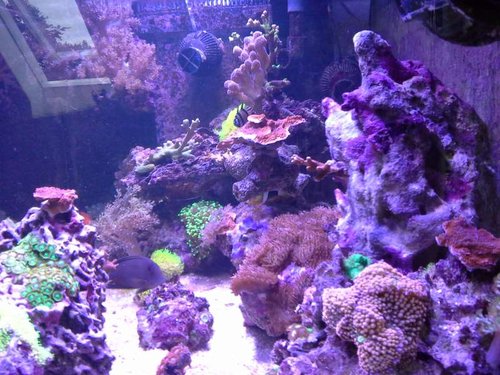 20141016_170151.jpg