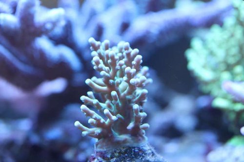 IMG_0095.JPG