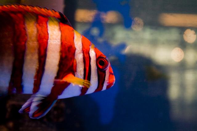 IMG_3684 (Small).jpg