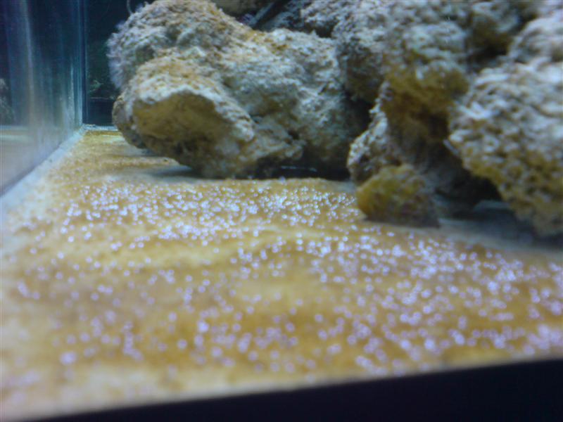 DSC00152 (Medium).JPG