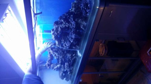 20141101_163050.jpg