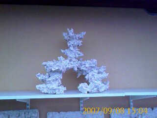 1499 skr = ca. 1200 dkr