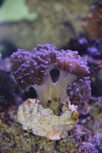 IMG_2243.JPG