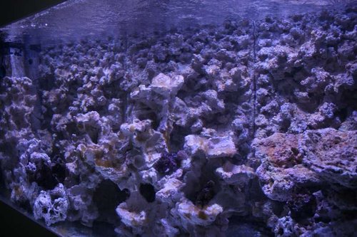 IMG_4848.JPG