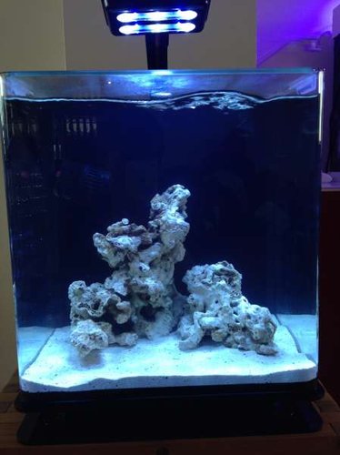 FTS d. 29. november 2014