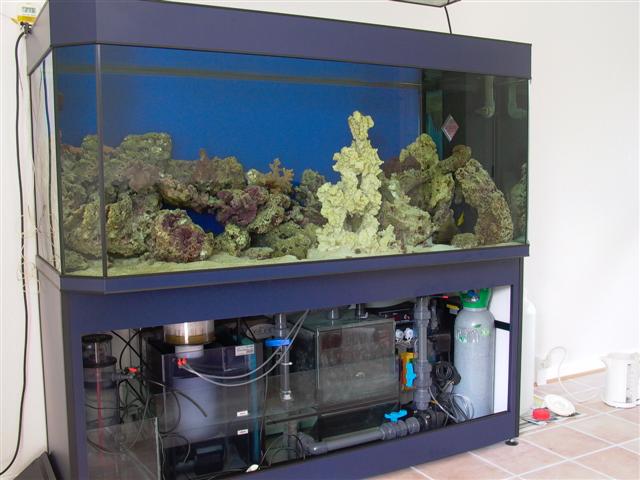 Deltec 015 (Small).jpg