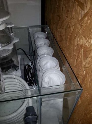 2014-12-14 18.37.17.jpg
