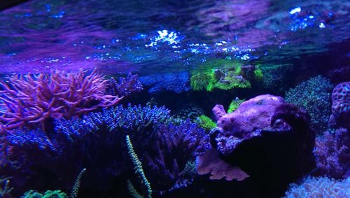 2014-12-15 21.16.06.jpg