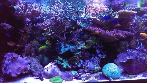 2014-12-15 21.16.43.jpg