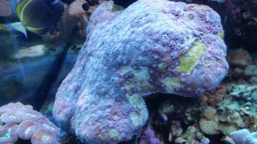 20141223_152030[1].jpg