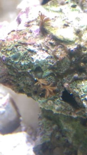 IMAG0674.jpg
