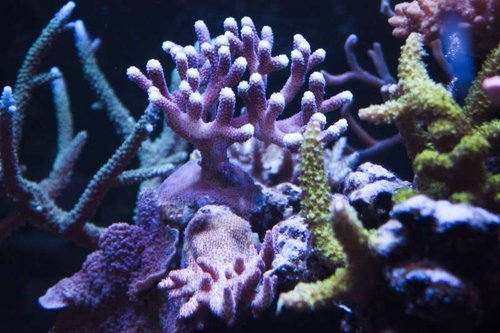 IMG_0009.jpg
