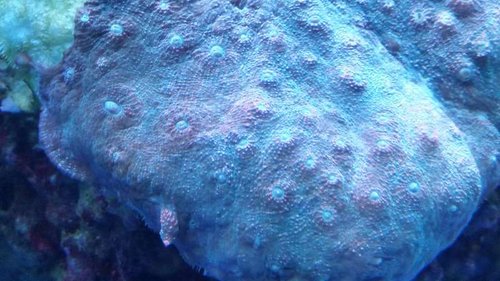 20141225_201647[1].jpg