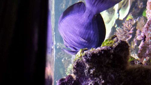 20141229_142642.jpg