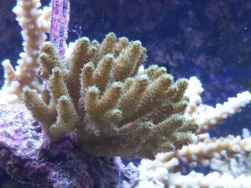 20141230_222937.jpg