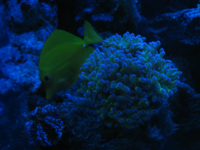 IMG_6200.JPG