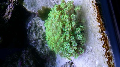 20150102_115341.jpg
