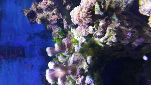 20150102_183000.jpg