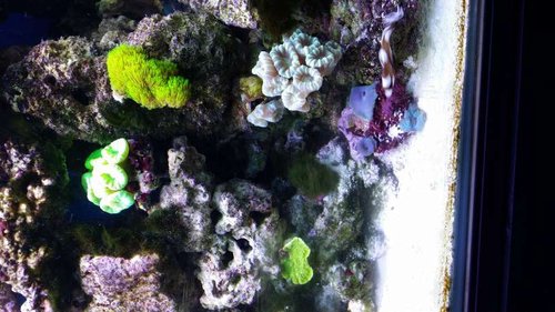 20150102_182933.jpg