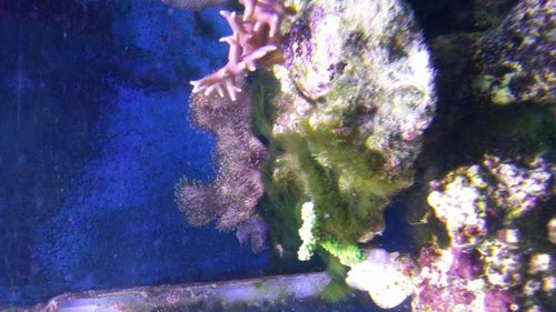 20150102_182926.jpg