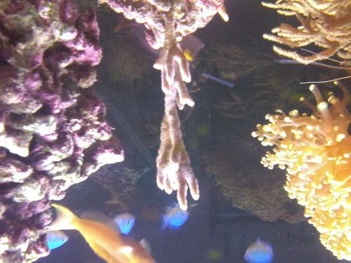 20150104_210500.jpg
