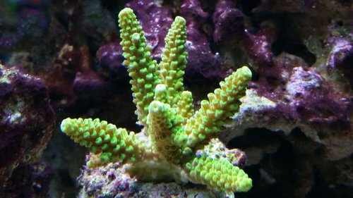 20150110_141609.jpg