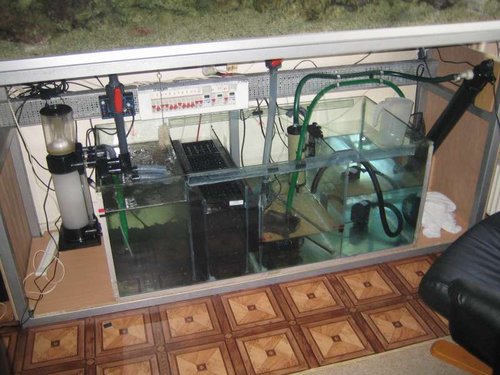 opstart akvarie 010.JPG