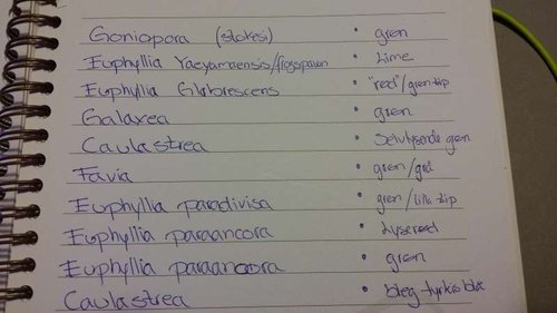 LPS