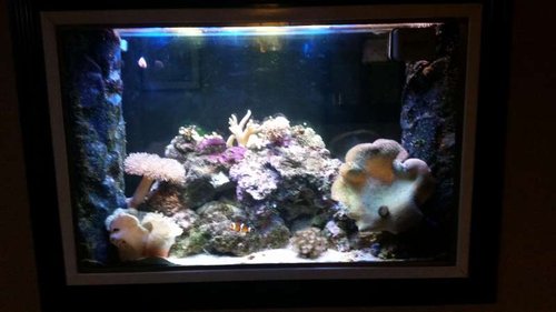 20150130_165210.jpg