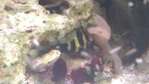 IMAG0703.jpg