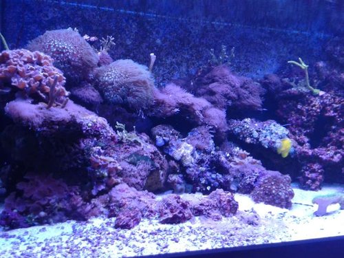 20150130_220933.jpg