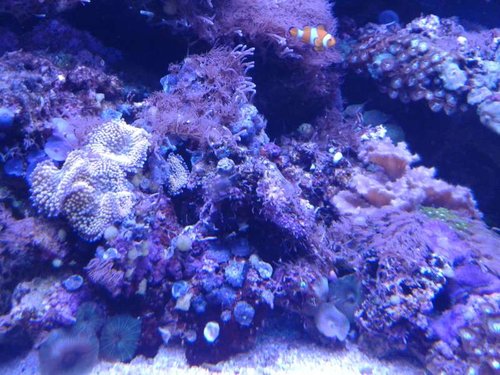 20150130_221138.jpg