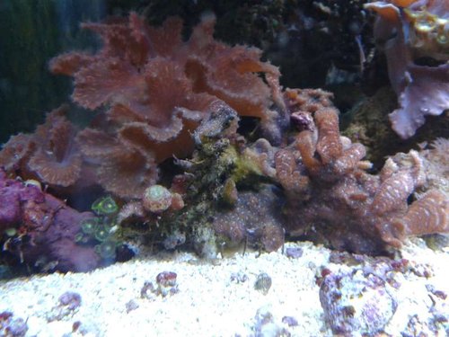 20150130_211808.jpg