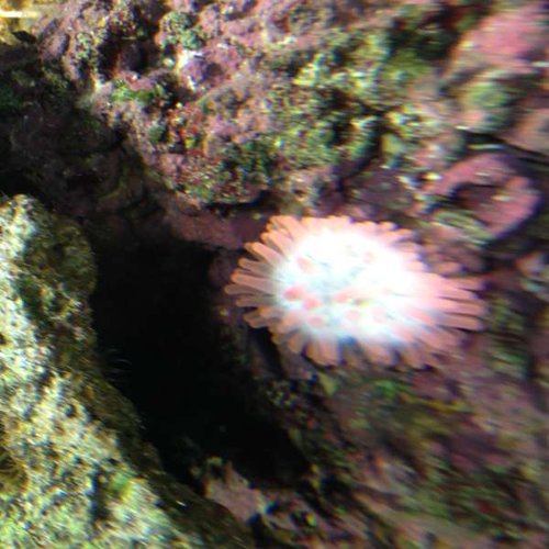 IMG_0117.JPG