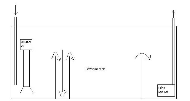 Og planerne til min sump