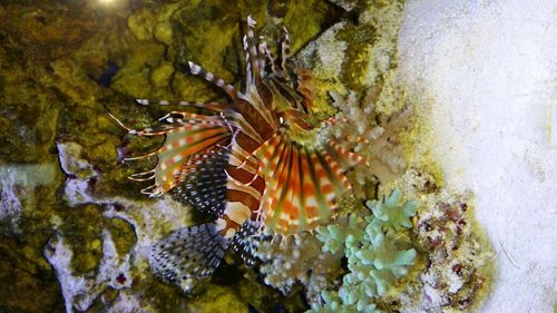 20150208_102916.jpg