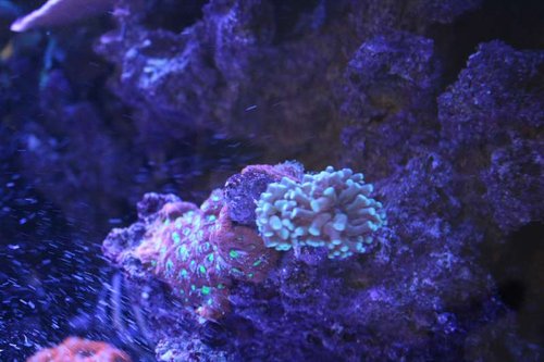 IMG_6191.JPG