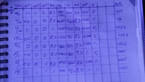 20150213_160905.jpg