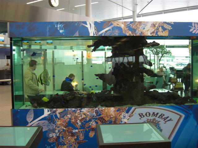 CIMG0260 (Small).JPG
